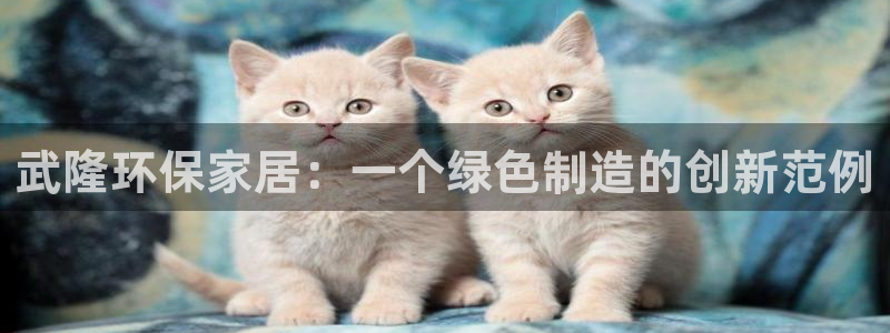 沐鸣23代理：武隆环保家居：一个绿色制造的创新范例
