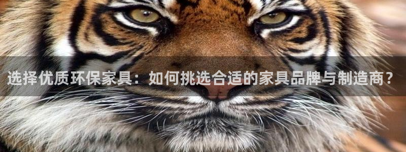 沐鸣2平台招商的流程