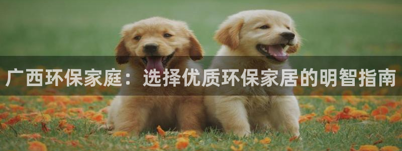 沐鸣2测速娱乐