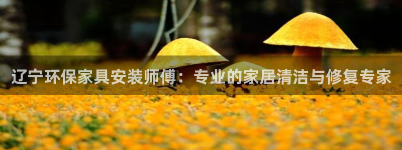 沐鸣2平台几年了：辽宁环保家具安装师傅：专业的家居清洁与修复