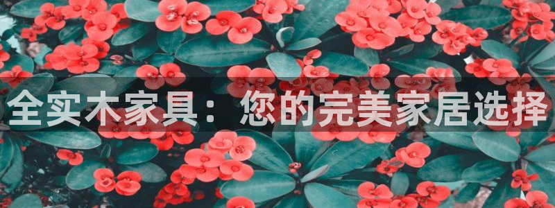 沐鸣2平台客服：全实木家具：您的完美家居选择