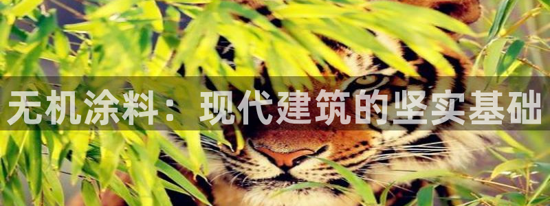 沐鸣2注册登录平台：无机涂料：现代建筑的坚实基础