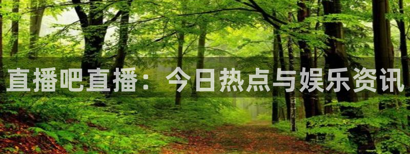 足球比赛绿茵直播