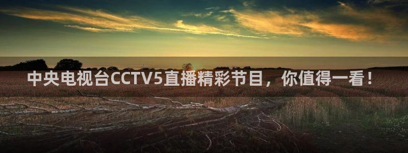 绿茵直播体育在线观看免费：中央电视台CCTV5直播精彩节目，你值得一看！