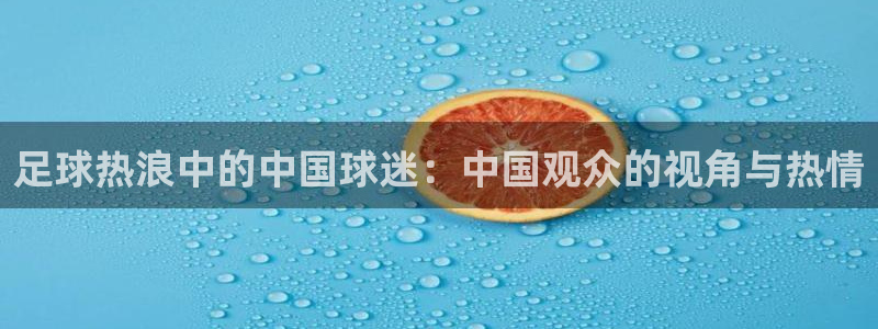 绿茵体育直播间：足球热浪中的中国球迷：中国观众的视角与热情