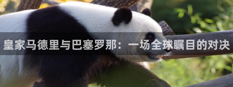 绿茵体育app下载：皇家马德里与巴塞罗那：一场全球瞩目的对决
