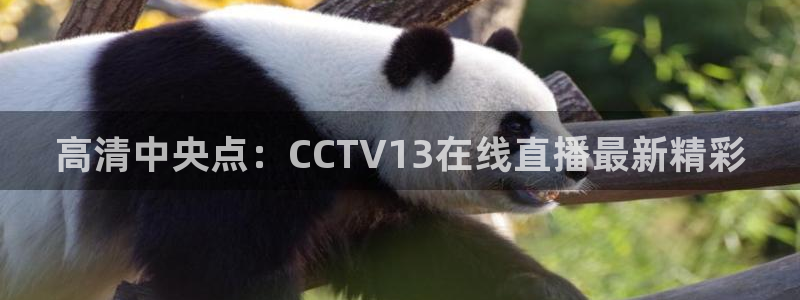 绿茵体育直播9939