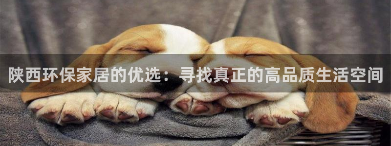 沐鸣2平台代理登录网址是什么：陕西环保家居的优选：寻找真正的