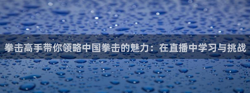 绿茵体育直播免费观看：拳击高手带你领略中国拳击的魅力：在直播中学习与挑战