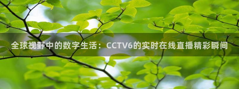 绿茵直播体育下载：全球视野中的数字生活：CCTV6的实时在线直播精彩瞬间