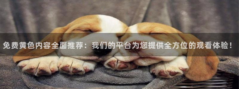 绿茵直播体育免费观看lyzb：免费黄色内容全面推荐：我们的平台为您提供全方位的观看体验！