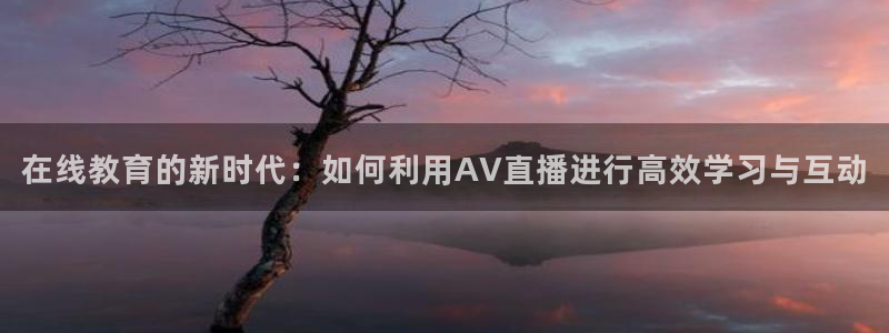 绿茵体育免费观看：在线教育的新时代：如何利用AV直播进行高效学习与互动