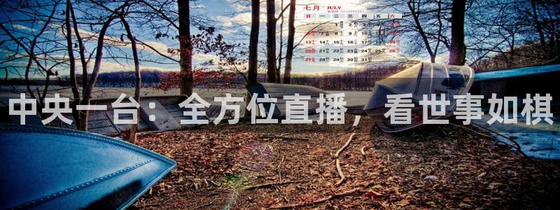 绿茵直播免费看球直播：中央一台：全方位直播，看世事如棋